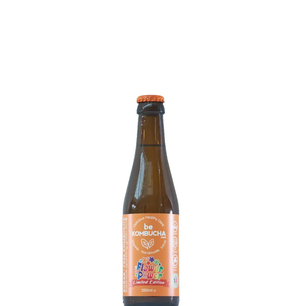 BeKombucha Sugar-Free Ginger Beer BIO 25cl (ambiant)